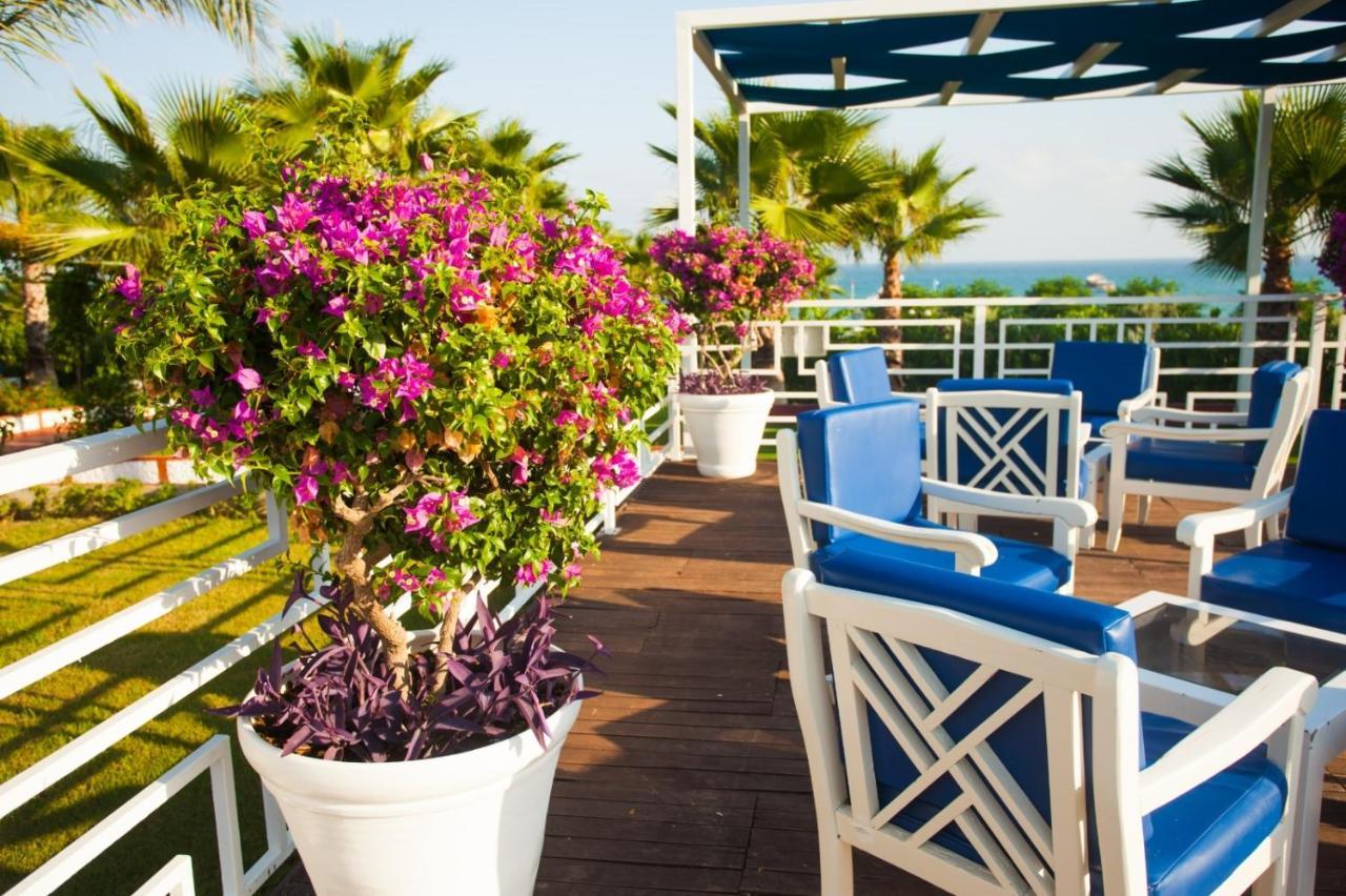 Ninfa Sul Mare Apartments 50 M E T R I Dal Mare Best Breakfast And Free Parking Capo Vaticano Eksteriør bilde