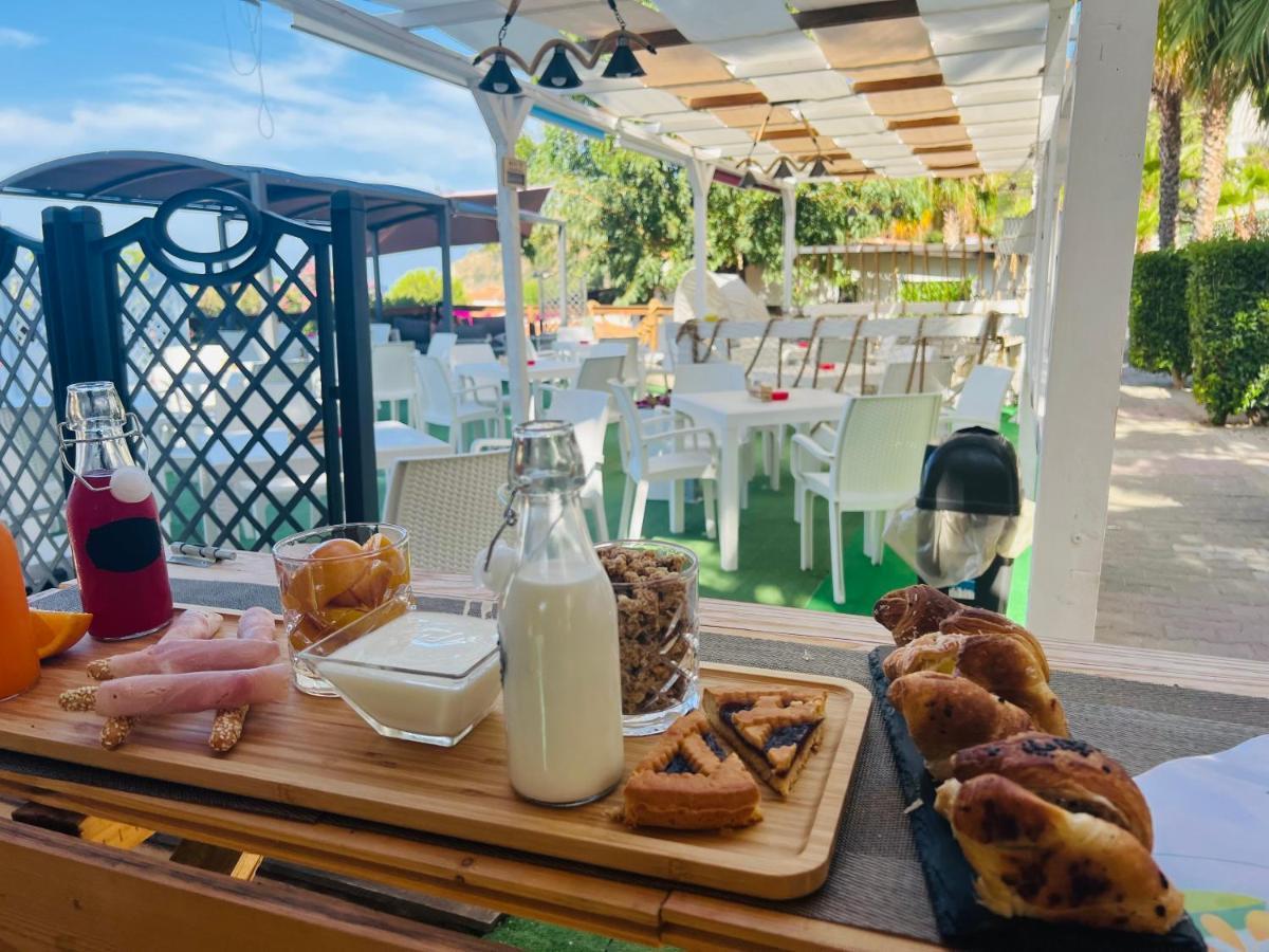 Ninfa Sul Mare Apartments 50 M E T R I Dal Mare Best Breakfast And Free Parking Capo Vaticano Eksteriør bilde